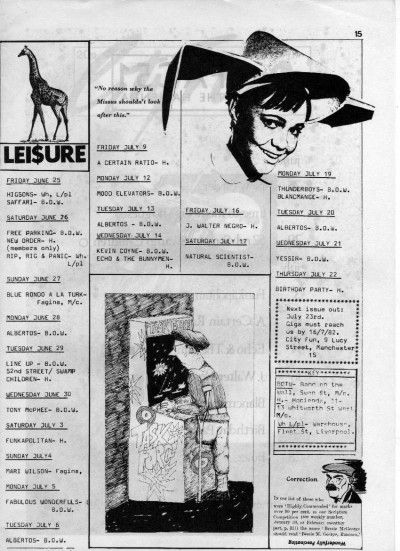 ARTEFACT DESCRIPTION